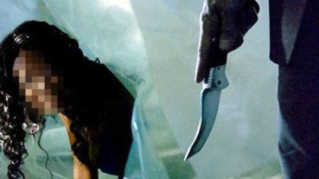 H&igrave;nh minh họa.