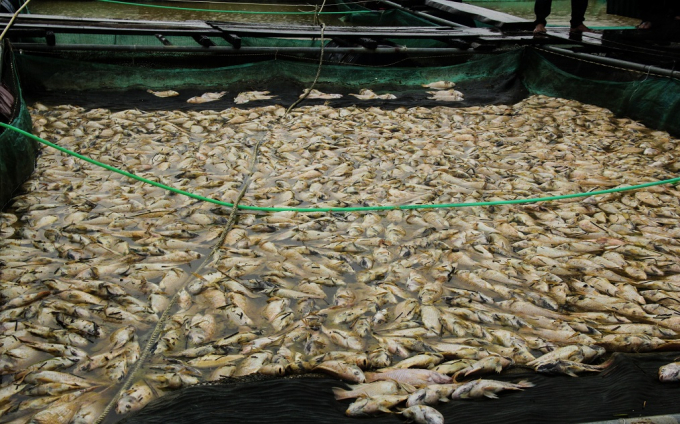 Chỉ sau một đ&ecirc;m lũ lớn tr&agrave;n tr&ecirc;n s&ocirc;ng Bồ, nhiều hộ d&acirc;n trở n&ecirc;n trắng tay.