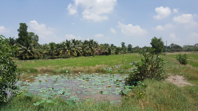 Đất sử dụng của người d&acirc;n cũng bị