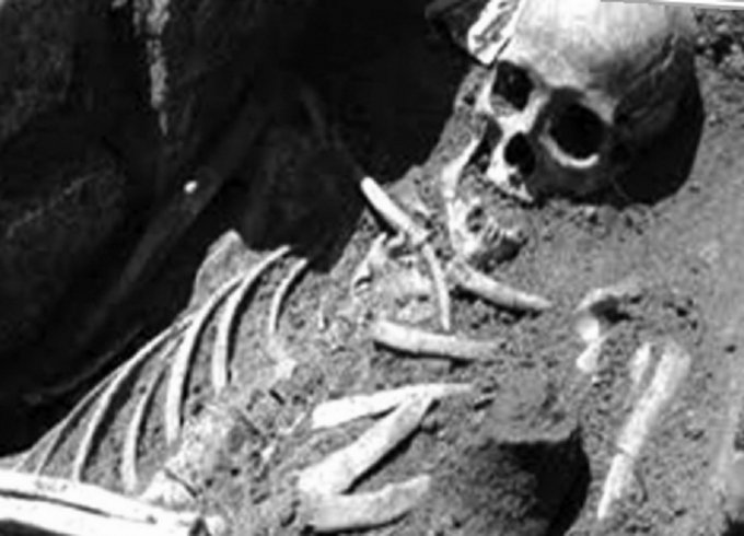 H&igrave;nh minh họa.