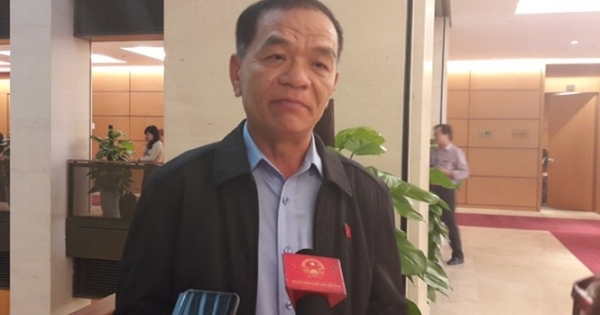 Trưởng Đặc khu kinh tế: Xã hội không thiếu người tài, nhưng cần khung khổ pháp lý!