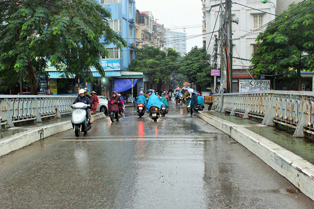 Phố mới mang t&ecirc;n nh&agrave; tư sản y&ecirc;u nước Trịnh Văn B&ocirc; (1914-1988) nằm tr&ecirc;n địa b&agrave;n quận Cầu Giấy. Phố Trịnh Văn B&ocirc; nằm tr&ecirc;n điểm giao cắt phố Nguyễn Đ&igrave;nh Ho&agrave;n tại cầu T11, đến ng&atilde; ba giao cắt đường Ph&ugrave;ng Ch&iacute; Ki&ecirc;n tại cổng sau Học viện Quốc ph&ograve;ng.