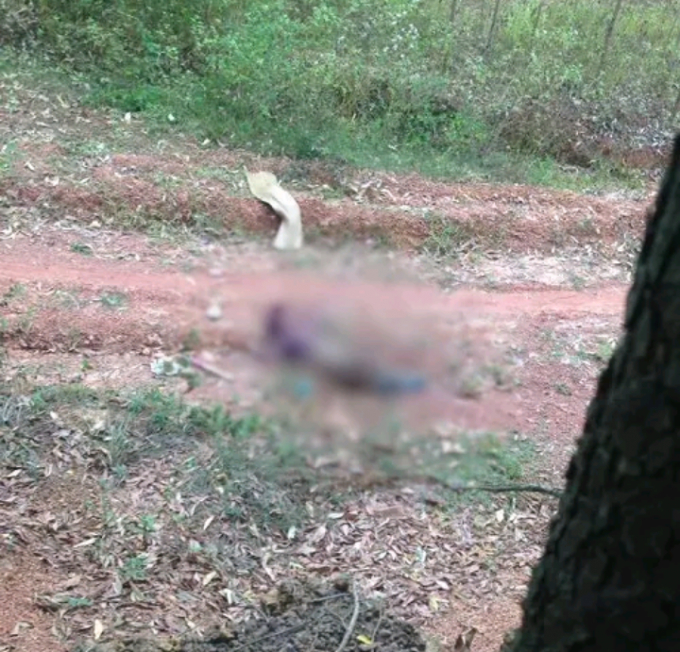 Hiện trường nơi chị H bị s&aacute;t hại.