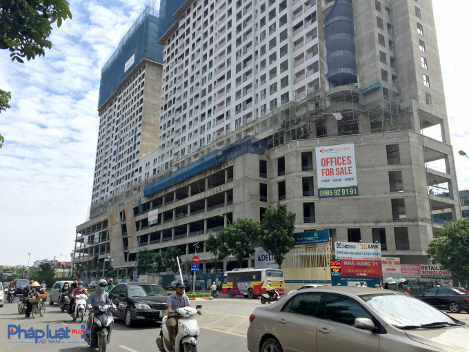 Dự &aacute;n The Golden Palm.