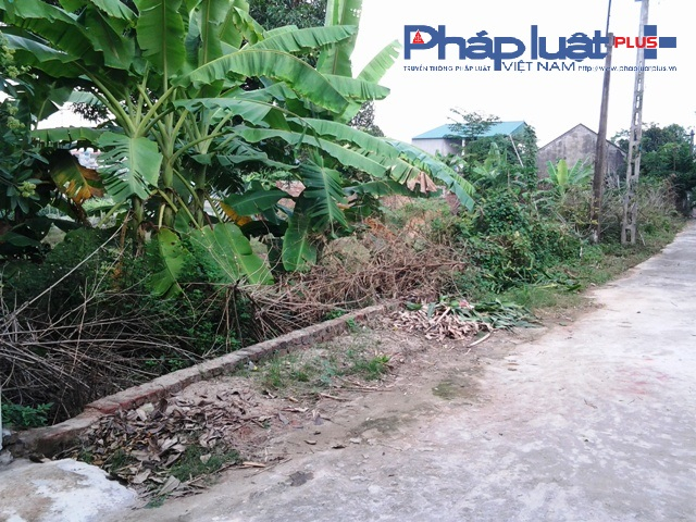 Chủ cũ của mảnh đất kh&ocirc;ng trả nợ v&agrave; b&agrave;n giao đất cho ng&acirc;n h&agrave;ng (Ảnh: Đ&agrave;o Tấn)