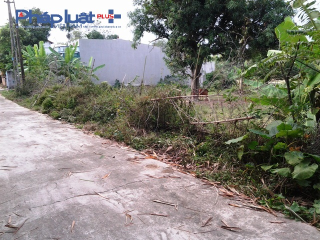 D&ugrave; mua tr&uacute;ng đất đấu gi&aacute; nhưng 2 năm nay hồ sơ &ocirc;ng Định bị