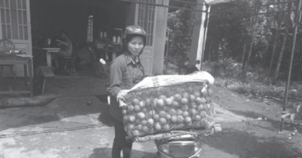 Gieo tiếng ác "tâm thần" hòng tước quyền nuôi con của vợ cũ?