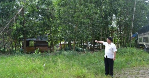 Đồng Nai: Xã Phú Ngọc nhiều lần chặt phá cây cối, nhổ hoa màu của dân?