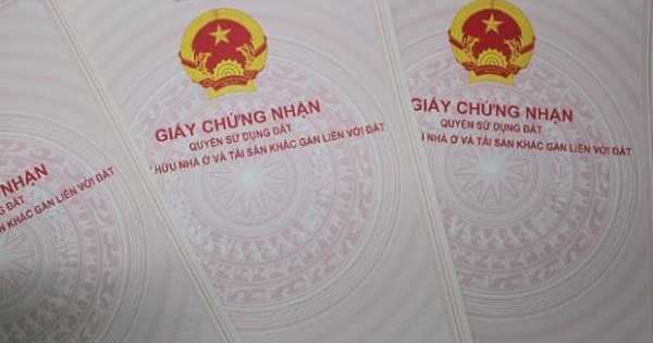 Gian dối người dân để trục lợi, Trưởng phòng TN&MT mất chức