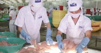 Thuỷ sản Hùng Vương thu về gần 490 tỷ sau thoái vốn tại Thực phẩm Sao Ta