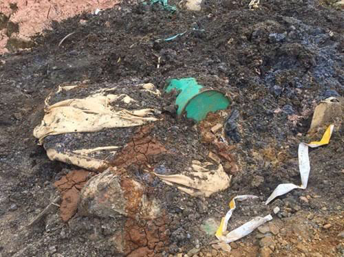 Chất thải đổ trộm