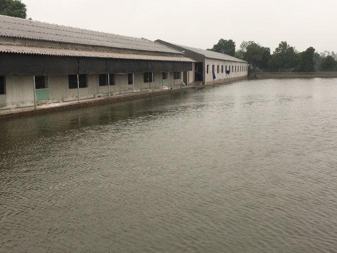 Khu trang trại g&agrave;, ao c&aacute; của &ocirc;ng X&aacute; rộng ra giữa k&ecirc;nh Đ&igrave;nh Đ&agrave;o.