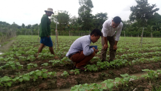 Sản phẩm của Winwintech đang được thử nghiệm tr&ecirc;n ch&iacute;nh những c&aacute;nh đồng của người n&ocirc;ng d&acirc;n.