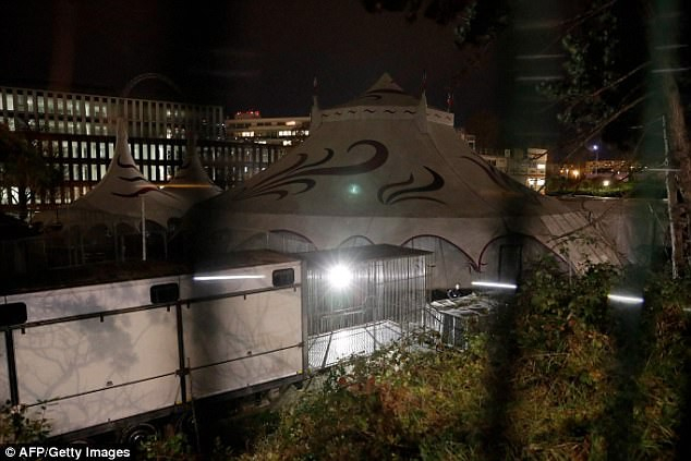 Chuồng của con hổ vừa bị bắn hạ. Hiện tại, vẫn chưa r&otilde; bằng c&aacute;ch n&agrave;o con hổ c&oacute; thể tho&aacute;t ra khỏi chuồng của n&oacute;.