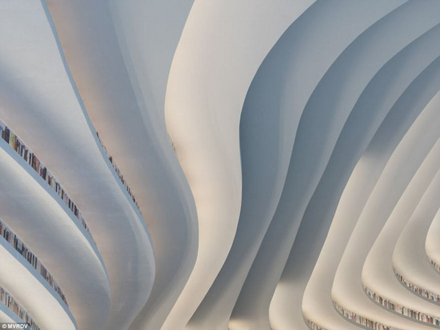 Những gi&aacute; s&aacute;ch uốn lượn tạo n&ecirc;n n&eacute;t duy&ecirc;n d&aacute;ng cho kiến tr&uacute;c, tạo n&ecirc;n sự đa tầng của nội thất, đi c&ugrave;ng với đ&oacute; l&agrave; c&aacute;c hiệu ứng &aacute;nh s&aacute;ng.