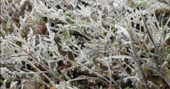 Những bức ảnh băng giá gây bão cộng đồng mạng những ngày qua