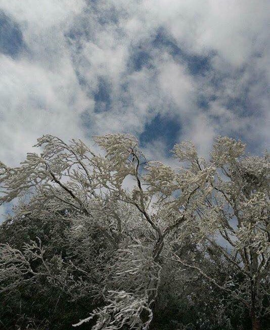 Ảnh: FB Nguyễn Viết Mai.