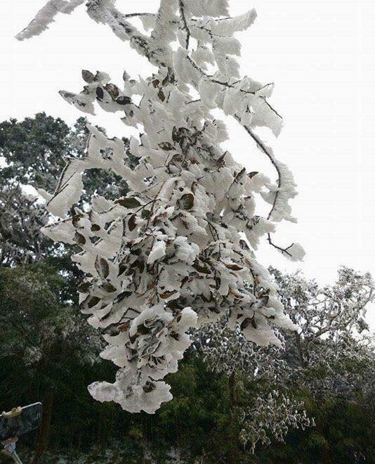 Những h&igrave;nh ảnh tại Ph&iacute;a Đ&eacute;n - Nguy&ecirc;n B&igrave;nh (Cao Bằng) s&aacute;ng ng&agrave;y 24/11 tr&ecirc;n facebook Nguyễn Viết Mai.