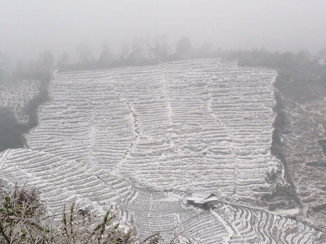 Ruộng bậc thang đ&atilde; được phủ trắng x&oacute;a. Ảnh: Ho&agrave;ng Nam