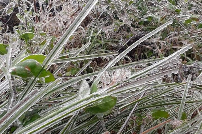 Ảnh: Long Văn Bằng