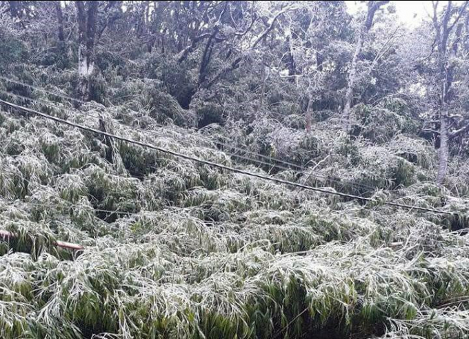 Ảnh: Long Văn Bằng