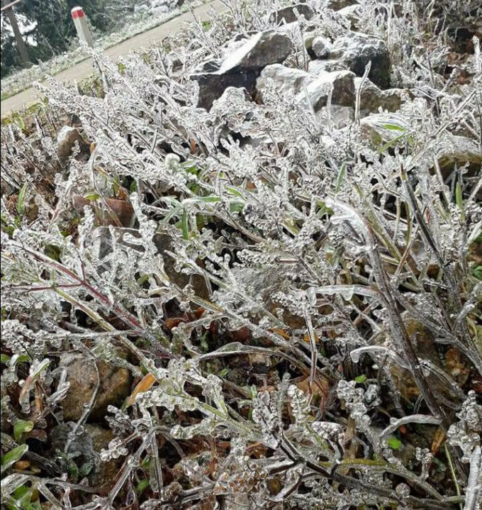 Ảnh: Long Văn Bằng