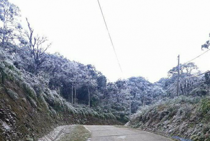 Những c&acirc;y cối đ&atilde; được bao bọc bởi một lớp đ&atilde; lạnh do nhiệt độ xuống thấp. Ảnh: Long Văn Bằng