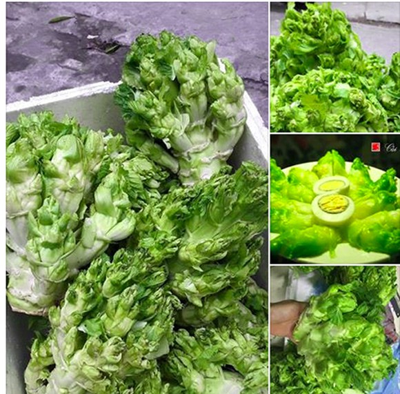 Cải mầm đ&aacute; Sapa đang được rao b&aacute;n tr&agrave;n lan tr&ecirc;n mạng x&atilde; hội