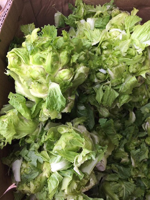 Kh&ocirc;ng &iacute;t rau mầm đ&aacute; tr&ecirc;n thị trường hiện nay l&agrave; h&agrave;ng Trung Quốc đội lốt