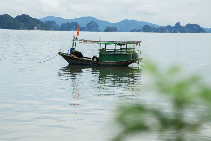 Đặc khu kinh tế: Động lực mới cho nền kinh tế