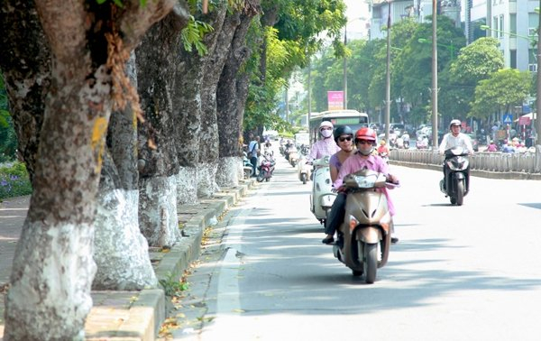 Dự b&aacute;o thời tiết 3/11: Miền Bắc hanh kh&ocirc;, ng&agrave;y nắng đ&ecirc;m lạnh