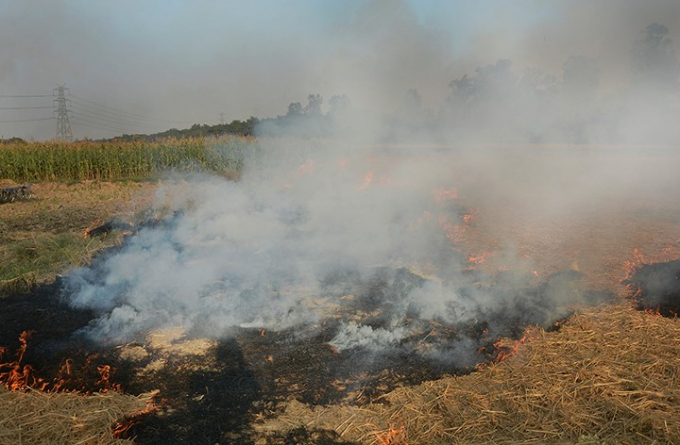 Th&agrave;nh phố 16 triệu d&acirc;n New Delhi l&agrave; một trong những th&agrave;nh phố &ocirc; nhiễm nhất thế giới. Chất lượng kh&ocirc;ng kh&iacute; ở đ&acirc;y thường trở n&ecirc;n tồi tệ v&agrave;o thời điểm n&agrave;y h&agrave;ng năm, khi c&aacute;c c&aacute;nh đồng gần đ&oacute; đốt rơm rạ sau vụ m&ugrave;a. Ảnh: AP