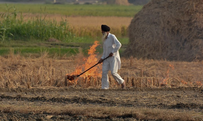 Việc những người n&ocirc;ng d&acirc;n đốt rơm rạ tr&ecirc;n c&aacute;c c&aacute;nh đồng ngoại &ocirc; th&agrave;nh phố l&agrave; một trong những nguy&ecirc;n nh&acirc;n g&acirc;y n&ecirc;n t&igrave;nh trạng &ocirc; nhiễm nghi&ecirc;m trọng ở New Delhi. Ảnh: AP