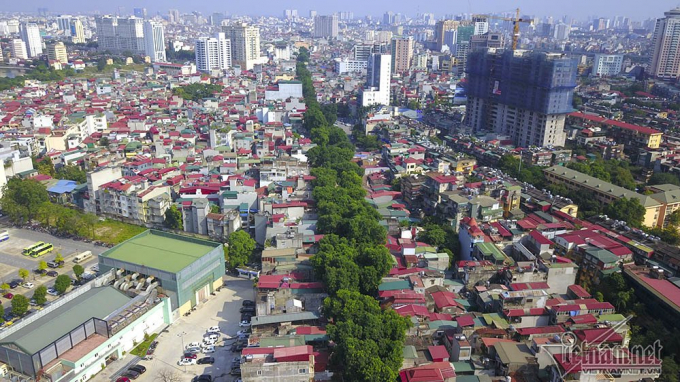 H&agrave;ng c&acirc;y x&agrave; cừ cổ thụ chạy dọc tuyến đường