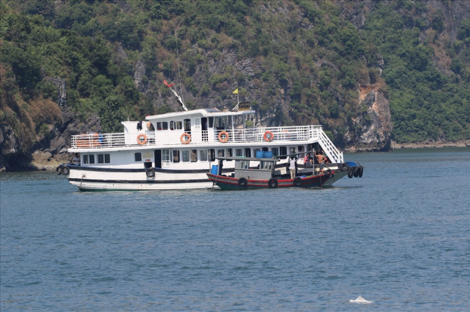 Con t&agrave;u n&agrave;y cả 2 ng&agrave;y 25 v&agrave; 26.10.2018 đều cho cho thuyền b&aacute;n h&agrave;ng rong cặp mạn. Ảnh: CTV.