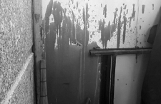 Gia đ&igrave;nh &ocirc;ng Nu&ocirc;i li&ecirc;n tục bị khủng bố bằng sơn.