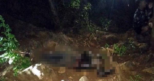 Vụ thi thể người đàn ông không đầu tại Thanh Hóa: Có thể do thú rừng xâm hại
