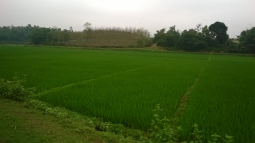 Ảnh minh họa. (Ảnh: Nguyễn Quỳnh/ Gi&aacute;o dục v&agrave; Thời đại)