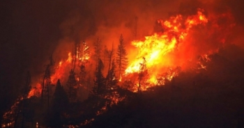 Bình luận về thảm họa cháy rừng, ông Trump khiến dư luận nổi giận