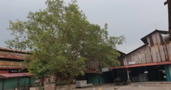 Hàng loạt chợ ở TP Bắc Giang thiếu PCCC, người dân hốt hoảng nếu xảy ra cháy