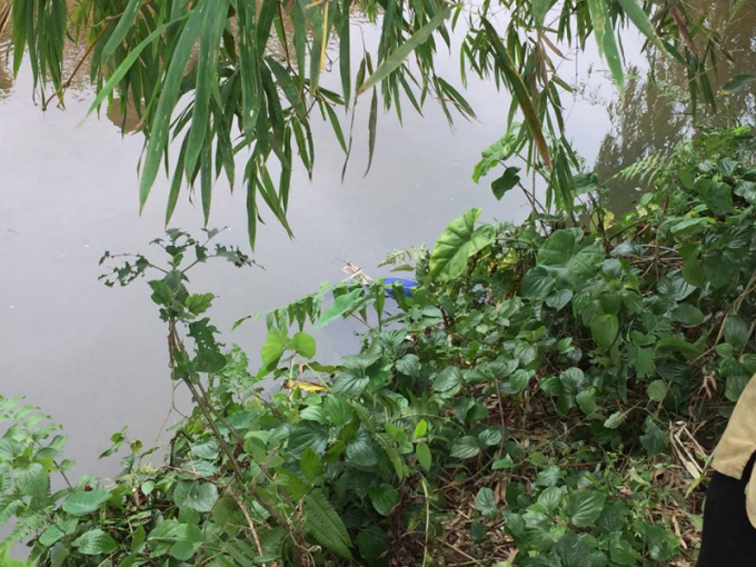 Khu vực suối B&aacute;i Tọ - nơi ph&aacute;t hiện thi thể người đ&agrave;n &ocirc;ng. (Ảnh: B&aacute;o Giao th&ocirc;ng)