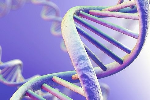 Do di truyền:Nếu trong gia đ&igrave;nh c&oacute; bố mẹ mắc ung thư da th&igrave; khả năng con c&aacute;i cũng dễ mắc bệnh cao hơn người b&igrave;nh thường.