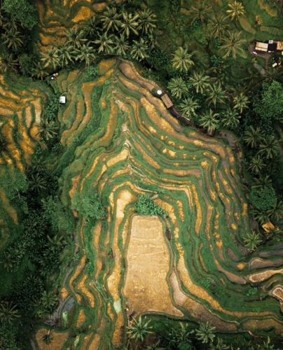 Quang cảnh Tegallalang ở Bali, Indonesia đẹp ngỡ ng&agrave;ng khi nh&igrave;n từ tr&ecirc;n cao.