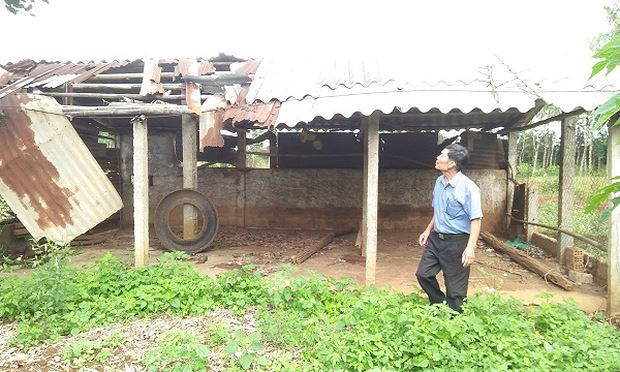 &Ocirc;ng H&ograve;a b&ecirc;n cơ ngơi giờ đ&atilde; tan hoang.