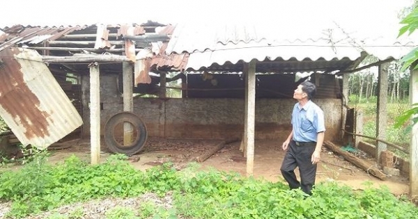 Dù được minh oan, một doanh nhân giỏi vẫn lâm vào cảnh khánh kiệt