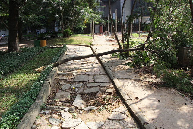 C&ocirc;ng vi&ecirc;n lọt top