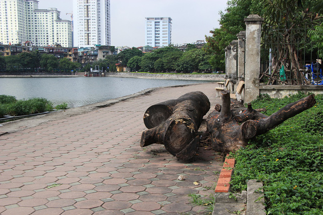 Tuy nhi&ecirc;n thời gian gần đ&acirc;y, c&ocirc;ng vi&ecirc;n Indira Gandhi đang c&oacute; những biểu hiện xuống cấp. Lối đi trong c&ocirc;ng vi&ecirc;n, gạch vỡ vụn, nằm ngổn ngang, nhiều th&acirc;n gỗ lớn nằm