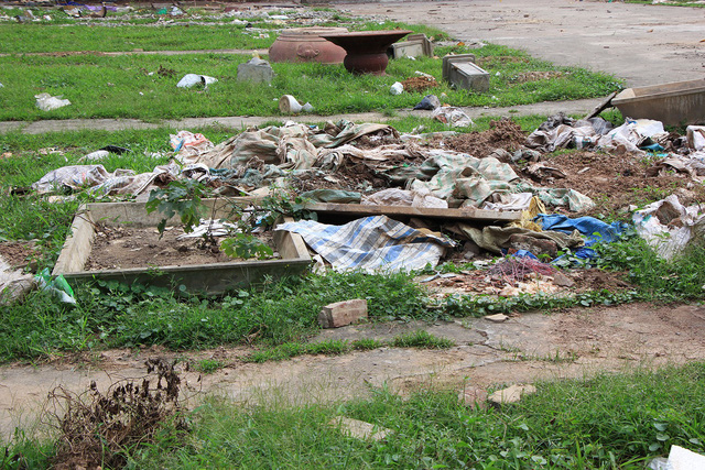 C&ocirc;ng vi&ecirc;n lọt top