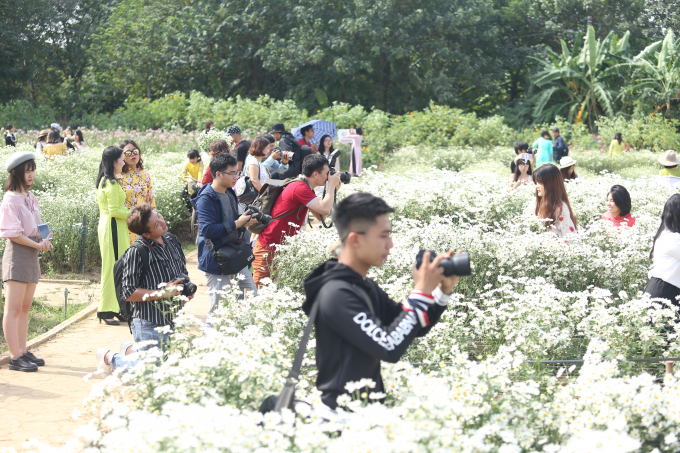Do thời gian hoa nở đến l&uacute;c hoa t&agrave;n của lo&agrave;i hoa n&agrave;y chỉ k&eacute;o d&agrave;i khoảng 3 tuần n&ecirc;n bất cứ ai cũng muốn ghi lại những khoảnh khắc đẹp.