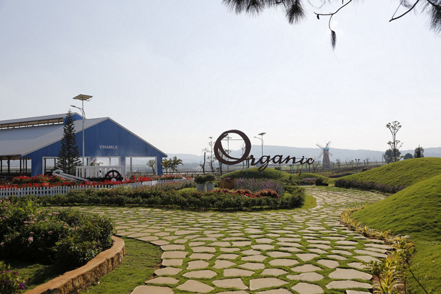 Vinamilk nhận bằng khen của Thủ tướng Ch&iacute;nh phủ về ph&aacute;t triển tam n&ocirc;ng bền vững